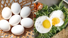 Egg Health: ಮೊಟ್ಟೆ ಪ್ರಿಯರೇ ಇಲ್ಲಿ ಗಮನಿಸಿ; ಡೈಲಿ ಮೊಟ್ಟೆ ತಿನ್ನುವ ಮುನ್ನ ಈ ಸುದ್ದಿ ಓದಿ