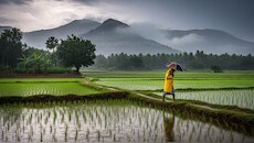  ಮುಂದಿನ 2ದಿನ ರಾಜ್ಯದಲ್ಲಿ ಮಳೆ ಫಿಕ್ಸ್‌ ಈ ಜಿಲ್ಲೆಗಳಲ್ಲಿ Yellow ಅಲರ್ಟ್