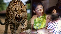 Chamarajanagar: ಅಜ್ಜಿ ಹಾಗೂ ಮೊಮ್ಮಗಳ ಮೇಲೆರಗಿದ ನರಭಕ್ಷಕ ಚಿರತೆ; ಚಾಮರಾಜನಗರದಲ್ಲಿ ನಿಲ್ಲದ ಮಾನವ-ವನ್ಯಜೀವಿ ಸಂಘರ್ಷ