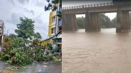ವರುಣಾರ್ಭಟಕ್ಕೆ ಬೆಳಗಾವಿ ತತ್ತರ... ಮರಗಳು ಧರೆಗೆ, ಮನೆಗಳಿಗೆ ಹಾನಿ; ಕೃಷ್ಣಾ ಸೇರಿ ಸಪ್ತ ನದಿಗಳಿಗೆ ಜೀವಕಳೆ