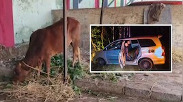Chikkamagaluru: ದನಗಳ್ಳರನ್ನು ಸಿನಿಮೀಯ ರೀತಿಯಲ್ಲಿ ಚೇಸ್‌ ಮಾಡಿದ ಪೊಲೀಸರು; ತೋಟಕ್ಕೆ ನುಗ್ಗಿದ ಕಿಡಿಗೇಡಿಗಳು!