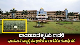 ಧಾರವಾಡದ ಕೃವಿವಿ ಸಾಧನೆ: ಇಂಡೋನೇಷ್ಯಾ ಆಹಾರ ಭದ್ರತೆಗೆ ಸಾಥ್ ನೀಡಲಿದೆ ನಮ್ಮ ಉತ್ತರ ಕರ್ನಾಟಕದ ಗೋಧಿ!