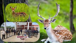 ಬೇಟೆಗಾರರ ಬಂಧನ- 30 ಕೆಜಿ ಜಿಂಕೆ ಮಾಂಸ ವಶಕ್ಕೆ