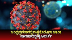 ನೆರೆಯ ರಾಜ್ಯ ಆಂಧ್ರಪ್ರದೇಶದ ಕಡಪ ಜಿಲ್ಲೆಯಲ್ಲಿ ಮತ್ತೆ ಕೊರೊನಾ ಆತಂಕ: ಪಾವಗಡದಲ್ಲಿ ಹೈ ಅಲರ್ಟ್ 