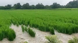 ಬರದಿಂದ ಕಂಗೆಟ್ಟಿದ್ದ ಜನ-ಜಾನುವಾರುಗಳಿಗೆ ಮಳೆರಾಯನ ಕೃಪೆ; ಬಿರುಗಾಳಿ ಸಹಿತ ಮಳೆಯಿಂದ ಹಲವೆಡೆ ಜಲಾವೃತ