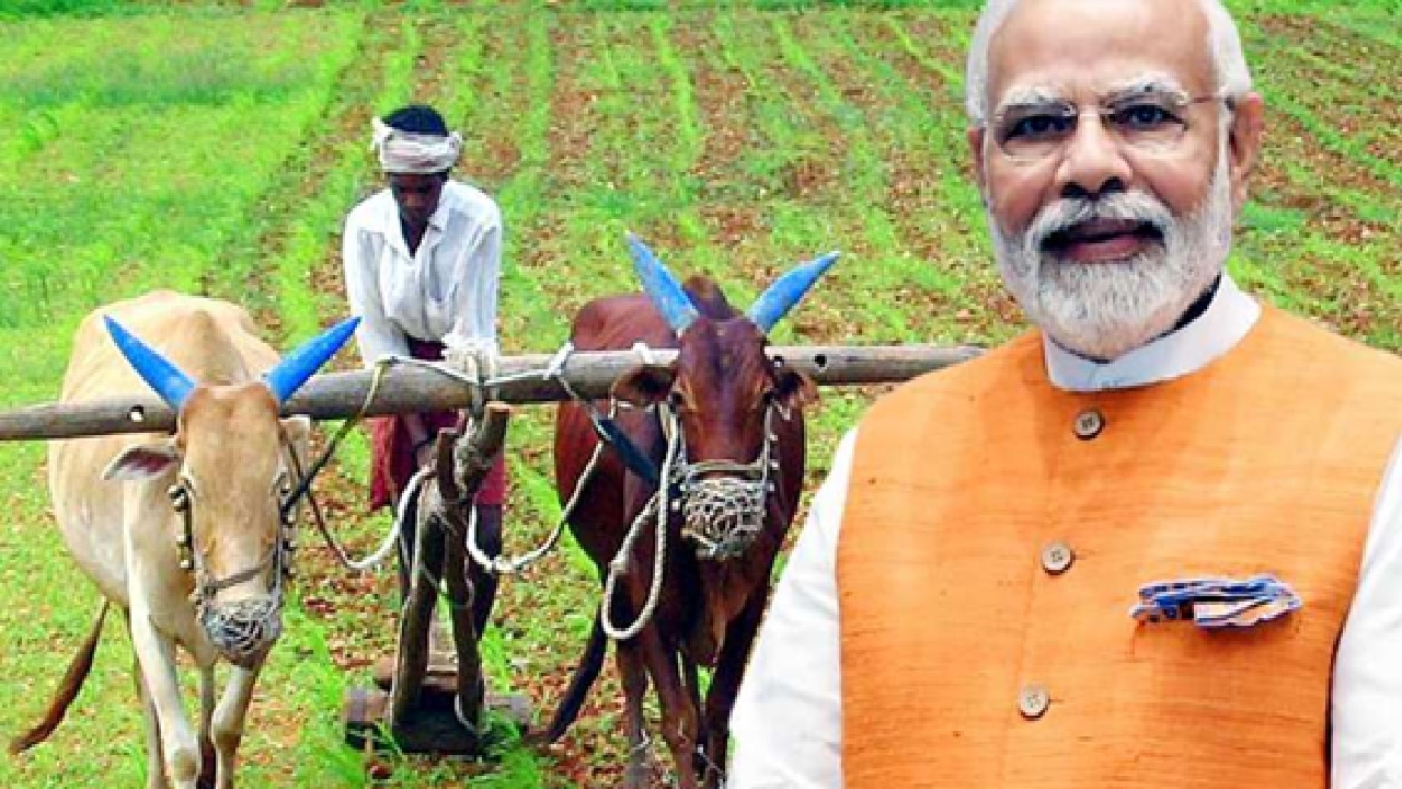 PM Kisan 24ನೇ ಕಂತು: ಅಕ್ಟೋಬರ್‌ನಲ್ಲಿ ₹2,000 ಜಮಾ?