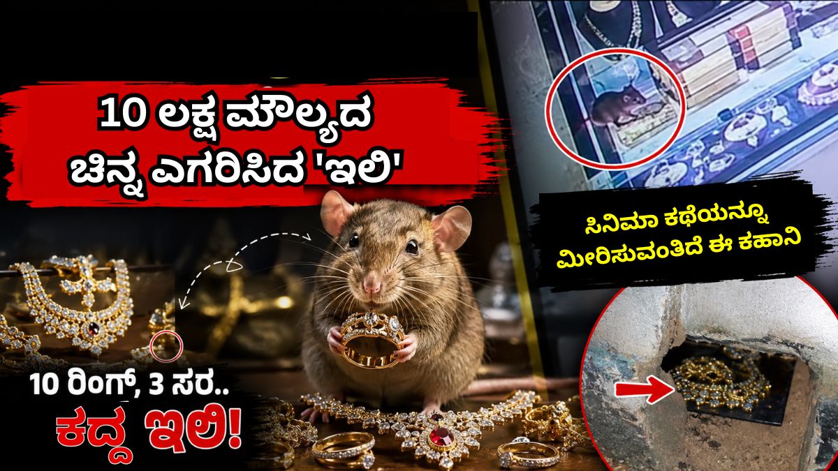ತುಮಕೂರಿನಲ್ಲಿ ಇಲಿಯಿಂದ 10 ಲಕ್ಷ ಚಿನ್ನಾಭರಣ ಕಳ್ಳತನ