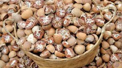 Arecanut Price: ರಾಜ್ಯದ ಮಾರುಕಟ್ಟೆಯಲ್ಲಿ ಅಡಿಕೆಗೆ ದಾಖಲೆ ಬೆಲೆ; ಇಂದಿನ ದರಪಟ್ಟಿ ಇಲ್ಲಿದೆ
