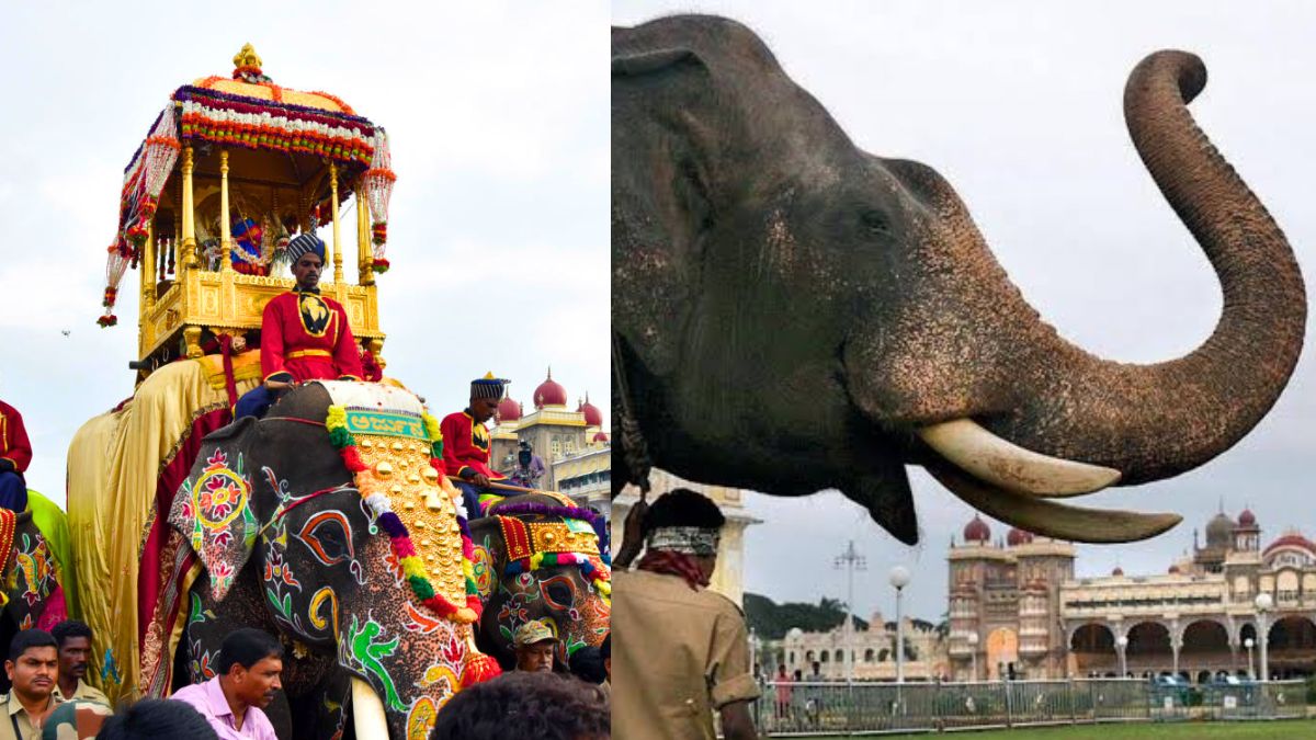 ಮೈಸೂರು ದಸರಾ 2026: ಅಭಿಮನ್ಯು ನಿವೃತ್ತಿ, ಅಂಬಾರಿ ಹೊರುವ ಆನೆ ಯಾರು?