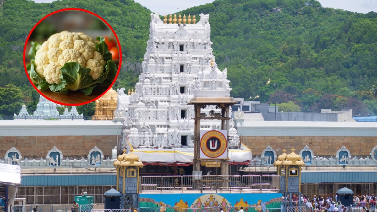 ತಿರುಪತಿಯಲ್ಲಿ ಹೂಕೋಸು ನಿಷೇಧ: ಟಿಟಿಡಿ ಮಹತ್ವದ ನಿರ್ಧಾರ