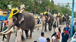 ಮೈಸೂರು ದಸರಾ 2026ಕ್ಕೆ ಭರ್ಜರಿ ಸಿದ್ಧತೆ: ಪಟ್ಟದ ಆನೆಯಾಗಿ ಶ್ರೀಕಂಠ, ನಿಶಾನೆ ಆನೆಯಾಗಿ ಏಕಲವ್ಯ ಆಯ್ಕೆ!