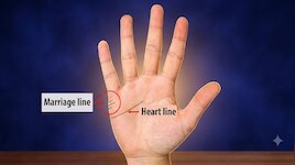 Palmistry: ಅಂಗೈಯಲ್ಲಿ ಈ ರೇಖೆ ಇದ್ರೆ ನಿಮ್ಮ ಅದೃಷ್ಟವೇ ಬದಲಾಗುತ್ತೆ! ಉತ್ತಮ ಸ್ಥಾನ, ಪ್ರತಿಷ್ಠೆಯ ಸಂಕೇತ