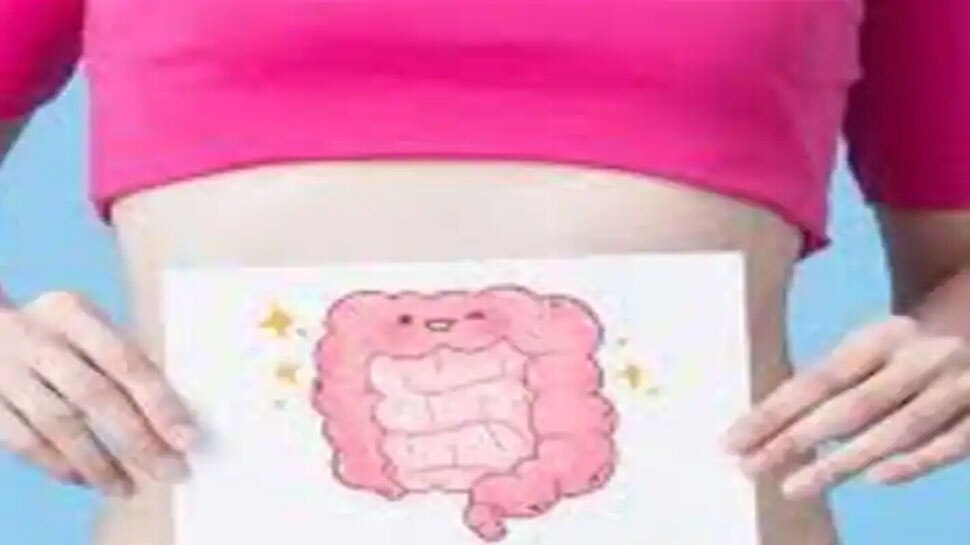 Pinpy Intestines These 5 different foods in a breakfast keep your intestines clean Start ...