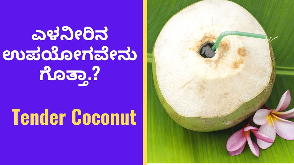 You will get amazing benefits by consuming coconut water in summer ಬೇಸಿಗೆಯಲ್ಲಿ ಎಳನೀರಿನ