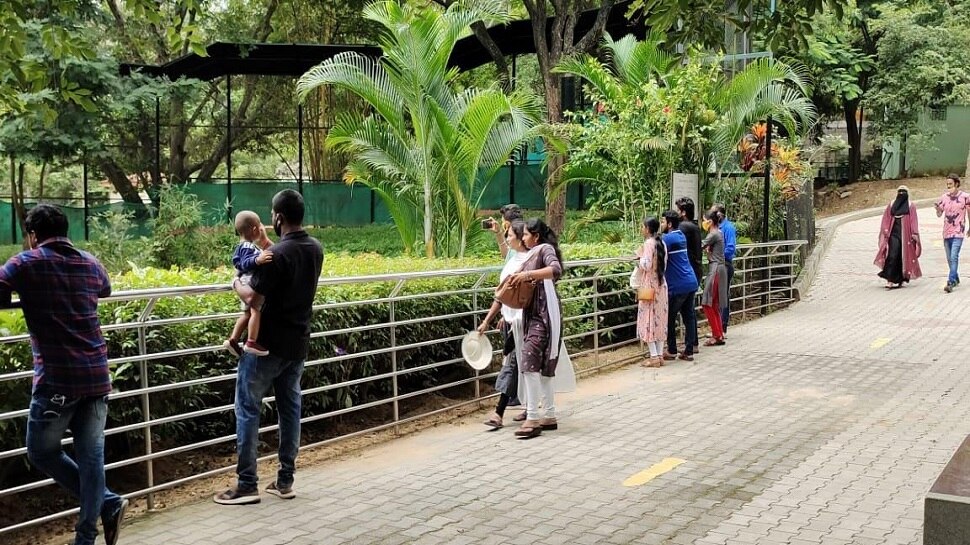 Corona effect on zoos in Karnataka