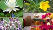 Vastu Tips for Flower: ಅಪ್ಪಿತಪ್ಪಿಯೂ ಈ ಹೂವುಗಳನ್ನು ಈ ದೇವರಿಗೆ ಅರ್ಪಿಸಬಾರದು