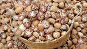 Arecanut Price Today: ರಾಜ್ಯದ ಪ್ರಮುಖ ಮಾರುಕಟ್ಟೆಗಳಲ್ಲಿ ಅಡಿಕೆ ಧಾರಣೆ ಭಾರೀ ಕುಸಿತ