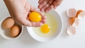 Egg Benefits: ಚಳಿಗಾಲದಲ್ಲಿ ಈ ಕಾರಣಕ್ಕಾಗಿ ಮೊಟ್ಟೆಯ ಹಳದಿ ಲೋಳೆಯನ್ನು ತಿನ್ನಲೇಬೇಕು