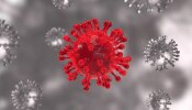 Coronavirus New Symptom: Omicron ರೂಪಾಂತರಿಯ ಹೊಸ ಲಕ್ಷಣ ಪತ್ತೆ, ಇದೀಗ ಶರೀರದ ಈ ಭಾಗದ ಮೇಲೆ ದಾಳಿ ಇಡುತ್ತಿದೆ ವೈರಸ್ 