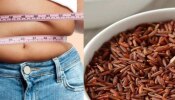 Brown Rice For Obesity: ಬೊಜ್ಜಿನ ಸಮಸ್ಯೆಯಿಂದ ನೀವೂ ತೊಂದರೆಗೊಳಗಾಗಿದ್ದೀರಾ? ಈ ರೈಸ್ ಅನ್ನು ಒಮ್ಮೆ ಟ್ರೈ ಮಾಡಿ ನೋಡಿ