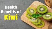 Kiwi Benefits : ಉತ್ತಮ ನಿದ್ರೆಗೆ ಕ್ಯಾನ್ಸರ್ ತಡೆಗಟ್ಟುವಿಕೆಗೆ ಚಳಿಗಾಲದಲ್ಲಿ ಸೇವಿಸಿ ಕಿವಿ ಹಣ್ಣು!