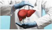 Liver: ಯಕೃತ್ತನ್ನು ಆರೋಗ್ಯಕರವಾಗಿರಿಸಬೇಕೆ? ನಿಮ್ಮ ಆಹಾರದಲ್ಲಿರಲಿ ಈ ಸಂಗತಿಗಳು