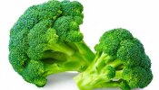 Health Benefits Of Broccoli: ಬ್ರೊಕೊಲಿಯ ಅದ್ಭುತ ಆರೋಗ್ಯ ಪ್ರಯೋಜನಗಳು