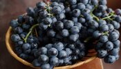 Black Grapes Health Benefits: ಕಪ್ಪು ದ್ರಾಕ್ಷಿಯ ಆರೋಗ್ಯ ಪ್ರಯೋಜನಗಳು