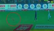 Viral Video: ಒಬ್ಬ ನಾಯಿ ಹಿಡಿತಿದ್ರೆ, ಮತ್ತೊಬ್ಬ ಪಕ್ಷಿ ಕಂಡು ಓಡೋದ! ಇಂಡೋ-ಆಸೀಸ್ ಪಂದ್ಯದ ವೇಳೆ ನಡೆಯಿತು ಸಖತ್ ಫನ್ನಿ ಘಟನೆ