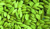 Green Cardamom : ಏಲಕ್ಕಿಯಲ್ಲಿದೆ ಆರೋಗ್ಯದ ಖಜಾನೆ : ಹೀಗೆ ಸೇವಿಸಿ ಪ್ರಯೋಜನ ಪಡೆಯಿರಿ