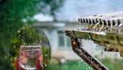 Rain Water Benefits: ಮಳೆನೀರು ಕುಡಿದರೆ ಒಂದೇ ವಾರದಲ್ಲಿ ನಿಯಂತ್ರಣಕ್ಕೆ ಬರುತ್ತೆ ರಕ್ತದೊತ್ತಡ! ಕೂದಲು-ತ್ವಚೆಗೂ ಉಪಕಾರಿ