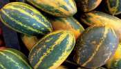 Managlore Cucumber: ಮಂಗಳೂರು  ಸೌತೆಕಾಯಿ ಬಗ್ಗೆ ನಿಮಗೆಷ್ಟು ಗೊತ್ತು..?