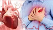 Heart Care Tips: ಈ ಒಂದು ಪರೀಕ್ಷೆ ಮಾಡಿಸಿಕೊಂಡು ನೀವು ಹೃದ್ರೋಗದ ಅಪಾಯದಿಂದ ಪಾರಾಗಬಹುದು!