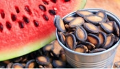 Watermelon Seed Benefits: ಕಲ್ಲಂಗಡಿ ಬೀಜಗಳಲ್ಲಿದೆ ಆರೋಗ್ಯದ ನಿಧಿ  