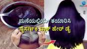 White Hair Remedies: ಅರಿಶಿನದೊಂದಿಗೆ ಈ ಪದಾರ್ಥಗಳನ್ನು ಬೆರೆಸಿ ಹಚ್ಚಿದರೆ ಬುಡದಿಂದಲೂ ಕಪ್ಪಾಗುತ್ತೆ ಕೂದಲು!