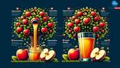 Apple Juice Benefits: ನಿತ್ಯ ಆಪಲ್ ಜ್ಯೂಸ್ ಕುಡಿಯುವುದರಿಂದ ತೂಕ ಇಳಿಕೆ ಸೇರಿದಂತೆ ಸಿಗುತ್ತೆ ಈ ಎಲ್ಲಾ ಲಾಭ