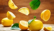 Fresh Lemon: ದೀರ್ಘಕಾಲದವರೆಗೆ ನಿಂಬೆ ತಾಜಾವಾಗಿರಿಸಲು ಈ ವಿಧಾನಗಳನ್ನು ಬಳಸಿ..!