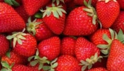 Benefits Of Strawberries: ಸ್ಟ್ರಾಬೆರಿ ಸೇವನೆಯ ಅದ್ಭುತ ಆರೋಗ್ಯ ಪ್ರಯೋಜನಗಳು 