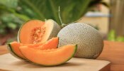 Muskmelon Health Benefits: ಕರ್ಬೂಜ ಹಣ್ಣು ಸೇವನೆಯಿಂದ ಇಷ್ಟೆಲ್ಲಾ ಆರೋಗ್ಯ ಪ್ರಯೋಜನಗಳಿವೆ