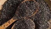 Health Benefits of Chia Seeds: ಚಿಯಾ ಬೀಜಗಳ ಅದ್ಭುತ ಆರೋಗ್ಯ ಪ್ರಯೋಜನಗಳು