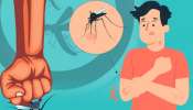 National Dengue Day 2024 : ಮಾರಕ ಡೆಂಗ್ಯೂ ನಿಯಂತ್ರಣಕ್ಕೆ ಇಲ್ಲಿವೆ ಸರಳ ಉಪಾಯಗಳು..!
