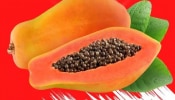 Health Benefits Of Papaya Seeds: ಪಪ್ಪಾಯಿ ಬೀಜಗಳ ಅದ್ಭುತ ಆರೋಗ್ಯ ಪ್ರಯೋಜನಗಳು