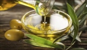 Benefits of Olive Oil: ಆಲಿವ್‌ ಎಣ್ಣೆಯ ಅದ್ಭುತ ಆರೋಗ್ಯ ಪ್ರಯೋಜನಗಳ ಬಗ್ಗೆ ತಿಳಿಯಿರಿ