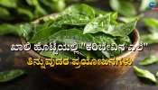 Curry Leaves: ಖಾಲಿ ಹೊಟ್ಟೆಯಲ್ಲಿ ಕರಿಬೇವಿನ ಎಲೆ ಜಗಿದು ತಿನ್ನಿ, ಬಿಪಿ, ಶುಗರ್ ಕಂಟ್ರೋಲ್ ಮಾಡಿ ಆರೋಗ್ಯವನ್ನೂ ವೃದ್ಧಿಸುತ್ತೆ! 