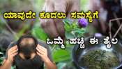  ಕೂದಲಿನ ಎಲ್ಲಾ ಸಮಸ್ಯೆಗೆ ರಾಮಬಾಣ ʼಈʼ ಎಲೆ.. ಈ ರೀತಿ ಬಳಸಿದ್ರೆ ದಪ್ಪ, ಗಾಢಕಪ್ಪು ಕೇಶರಾಶಿ ನಿಮ್ಮದಾಗುತ್ತೆ!! 