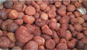 Arecanut Price: ರಾಜ್ಯದ ಮಾರುಕಟ್ಟೆಯಲ್ಲಿ 53,000 ರೂ. ತಲುಪಿದ ಅಡಿಕೆ ಬೆಲೆ