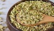 Fennel Seeds: ನೀವು ಪ್ರತಿದಿನ 1 ಚಮಚ ಸೋಂಪು ಕಾಳು ತಿಂದರೆ ಏನಾಗುತ್ತದೆ? ಅಜೀರ್ಣ, ತೂಕ ಇಳಿಕೆಗೆ ಸಹಕಾರಿ