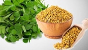 Fenugreek Benefits: ಪುರುಷರ ಲೈಂಗಿಕ ಬಯಕೆ ಹೆಚ್ಚಿಸುವ ಮೆಂತ್ಯ ಕಾಳು; ಪ್ರತಿದಿನ ಅರ್ಧ ಚಮಚ ಸೇವಿಸಿರಿ   