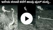 Viral video: ಇಲಿಯ ಕರಾಟೆ ಕಲೆಗೆ ಬೇಟೆ ಆಡಲು ಬಂದ ಹಾವು ಫುಲ್ ಸುಸ್ತು..ವಿಡಿಯೋ ನೋಡಿ ಸಖತ್ ಮಸ್ತು