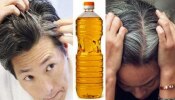 Hair Care Tips: ಕೂದಲಿನ ಎಲ್ಲಾ ರೀತಿಯ ಸಮಸ್ಯೆಗಳಿಗೂ ಪ್ರತಿನಿತ್ಯ ʼಈʼ ಎಣ್ಣೆ ಬಳಸಿ!